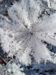 Similar image 7397397