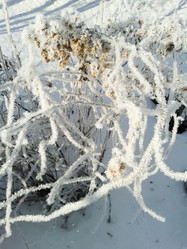 Similar image 7397398