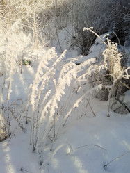 Similar image 7397399