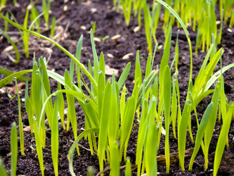 Similar image 7397403