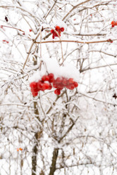 Similar image 7397410