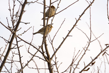 Similar image 7397411