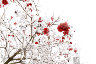 Similar image 7397424