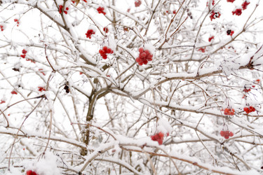 Similar image 7397435