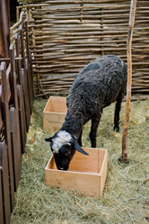 Similar image 7397449