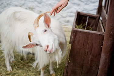 Similar image 7397451