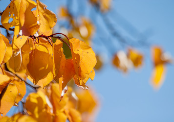 Similar image 7397457