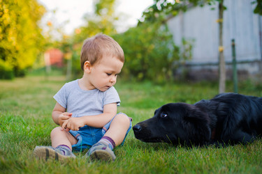 Similar image 7397471