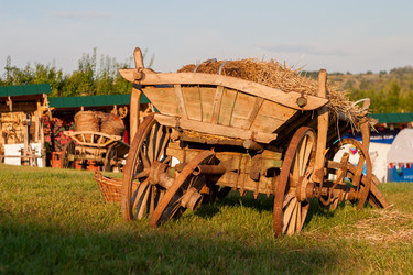 Similar image 7397493