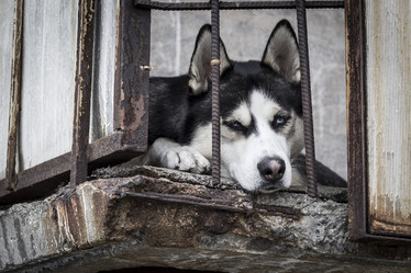 Similar image 7397500