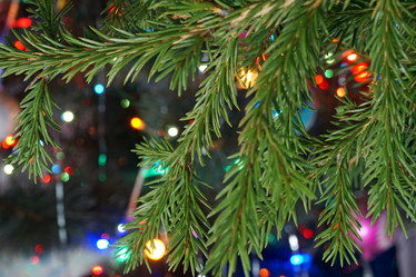 Similar image 7397520