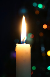 Similar image 7397521