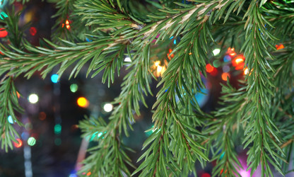 Similar image 7397522