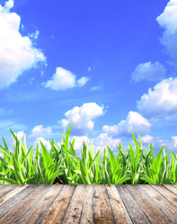 Similar image 7397578