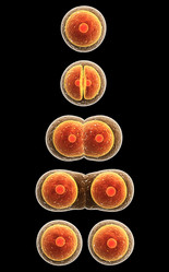 Similar image 7397584