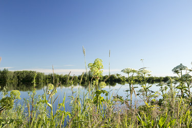 Similar image 7397696