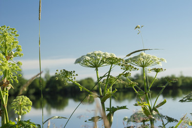 Similar image 7397701