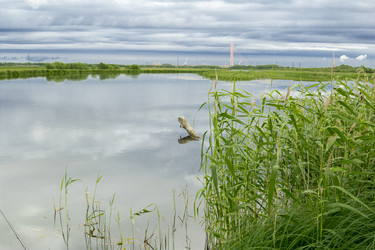 Similar image 7397706