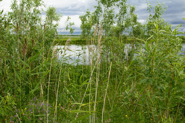 Similar image 7397713