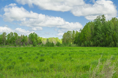 Similar image 7397725