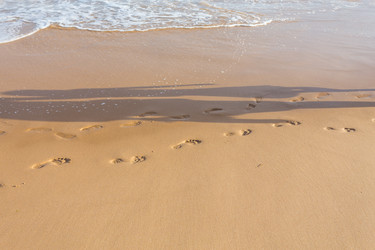 Similar image 7398105