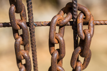 Similar image 7398113