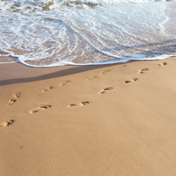 Similar image 7398115