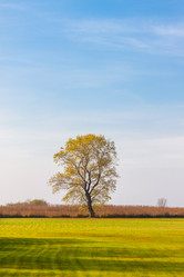 Similar image 7398127