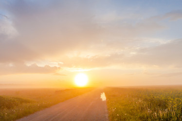 Similar image 7398139