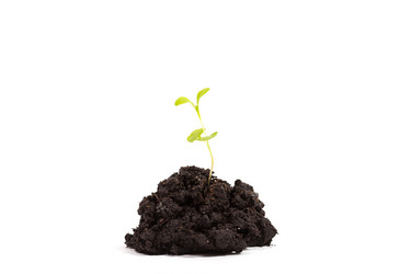 Similar image 7398209