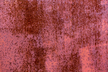 Similar image 7398226