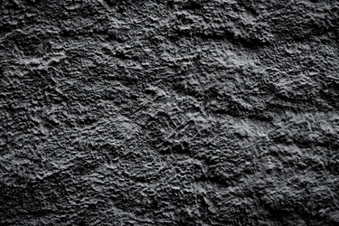 Similar image 7398247