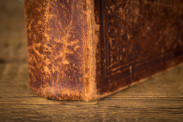 Similar image 7398261