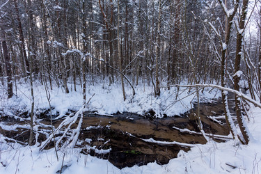 Similar image 7398304