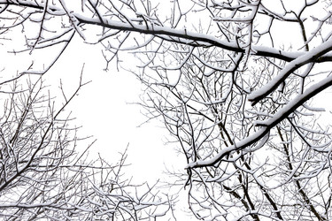 Similar image 7398305