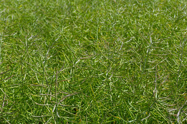 Similar image 7398308