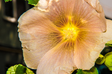 Similar image 7398346