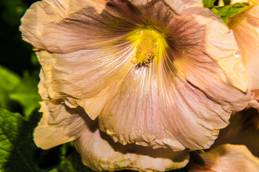 Similar image 7398347