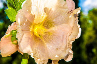 Similar image 7398348