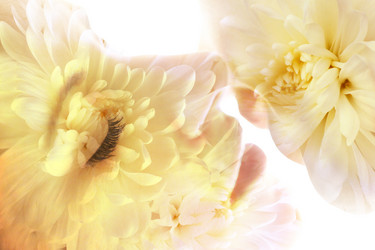 Similar image 7398401