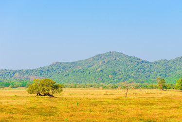 Similar image 7398466