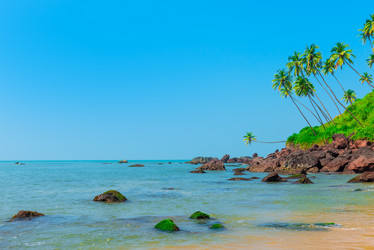 Similar image 7398471