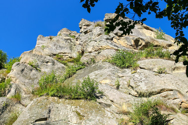 Similar image 7398536