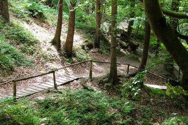 Similar image 7398646