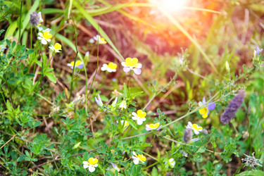 Similar image 7398647