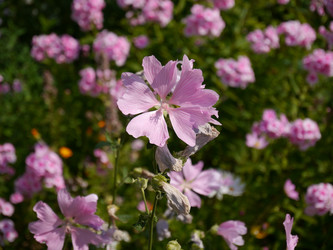 Similar image 7398654