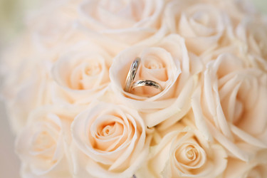 Similar image 7398691