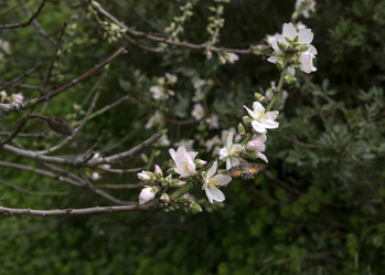 Similar image 7398845