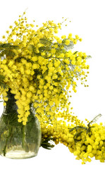 Similar image 7398853