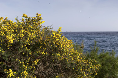 Similar image 7398854